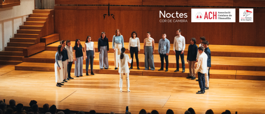 Concert benèfic per l’Associació Catalana de l’Hemofília - Noctes i Lluís Vilamajó